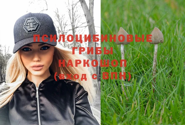 крисы Абинск
