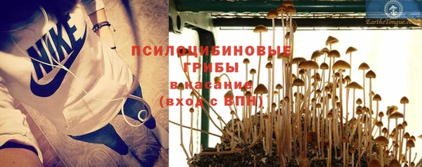 не бодяженный Абаза