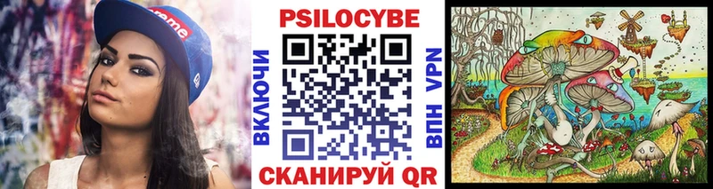 Галлюциногенные грибы GOLDEN TEACHER  где найти   Чекалин 